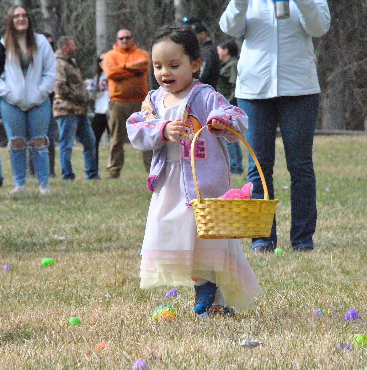 A little girl in an Easter dress and Crocs navigates a sea of plastic eggs in the youngest age group at the Saturday egg hunts in St. Regis. (Mineral Independent/Amy Quinlivan)