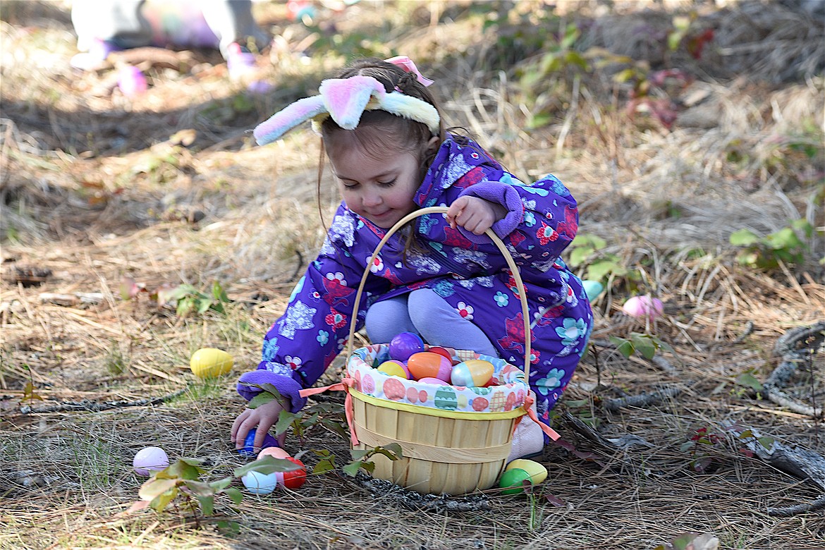 A YOUNG Easter egg hunter fills her basket at the annual Easter egg hunt Saturday morning at Libby Christian Church. (Scott Shindledecker/The Western News)