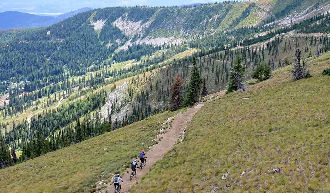 Public hearing for proposed bike park April 17 - Vimarsana News