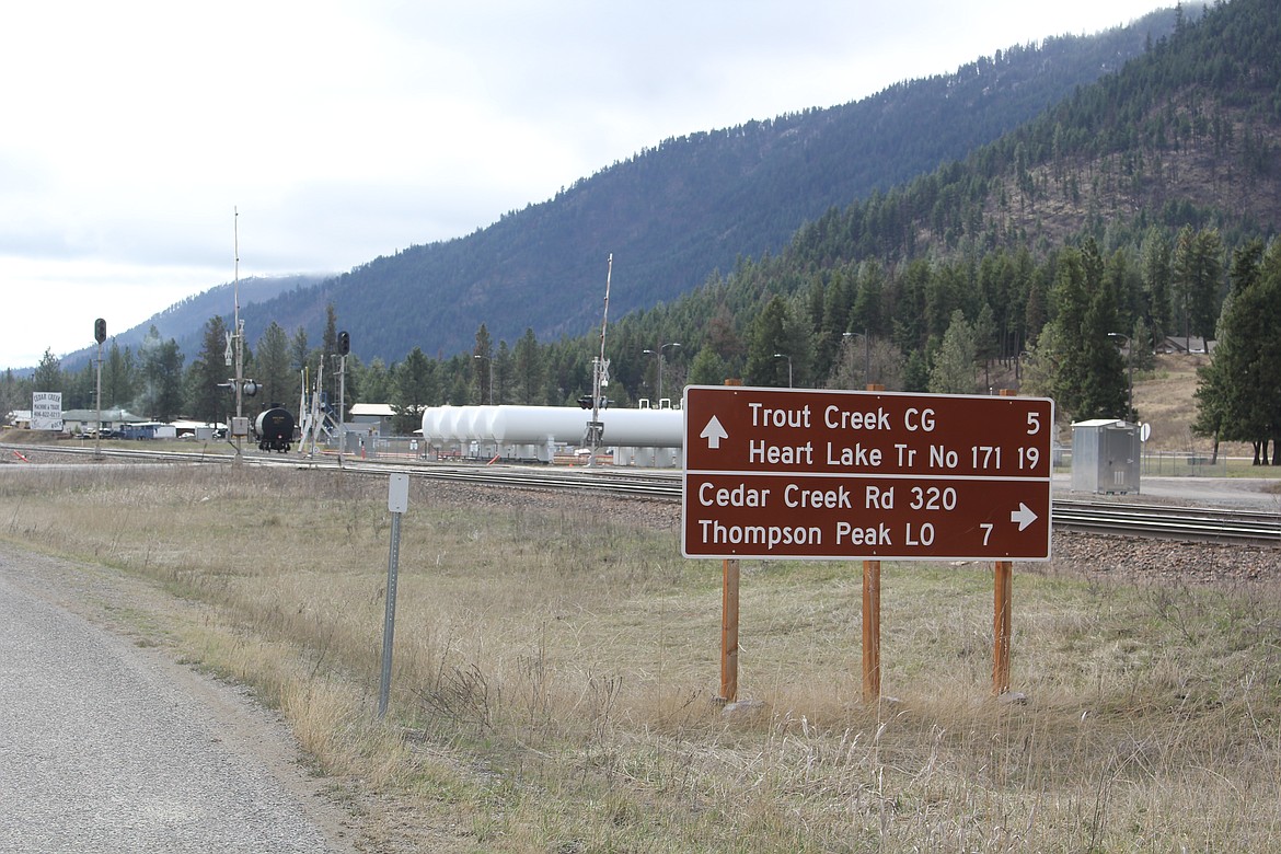 Six elk were killed March 25 at the intersection of Cedar Creek and Diamond Match Road. Montana Fish, Wildlife and Parks has been monitoring this herd and said it already was small so recovery time will be over several years. (Monte Turner/Mineral Independent)