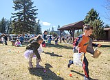 Photos: 4,000 eggs, scooped up in minutes