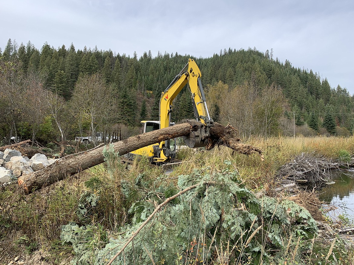 Contractors place a root wad on Wolf Lodge Creek to anchor the streambank on Steve and Janet Funk’s Edgecreek Tree Farm near Lake Coeur d’Alene