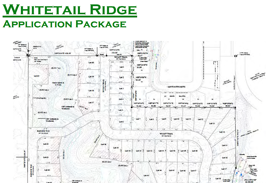 Plans for 77-lot subdivision draw concerns from development board ...