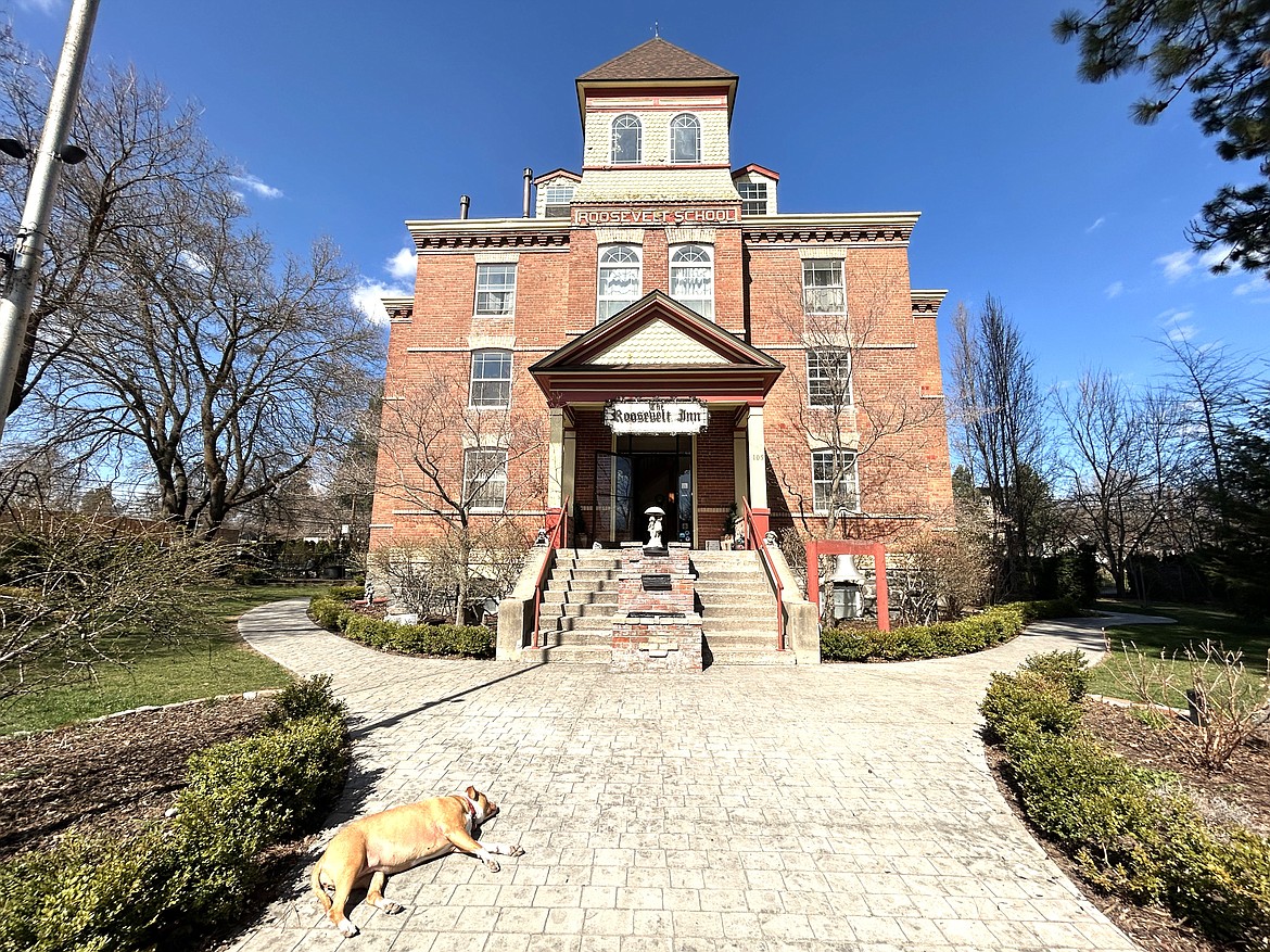 A dog sleeps in front of The Roosevelt Inn on a sunny Tuesday afternoon.