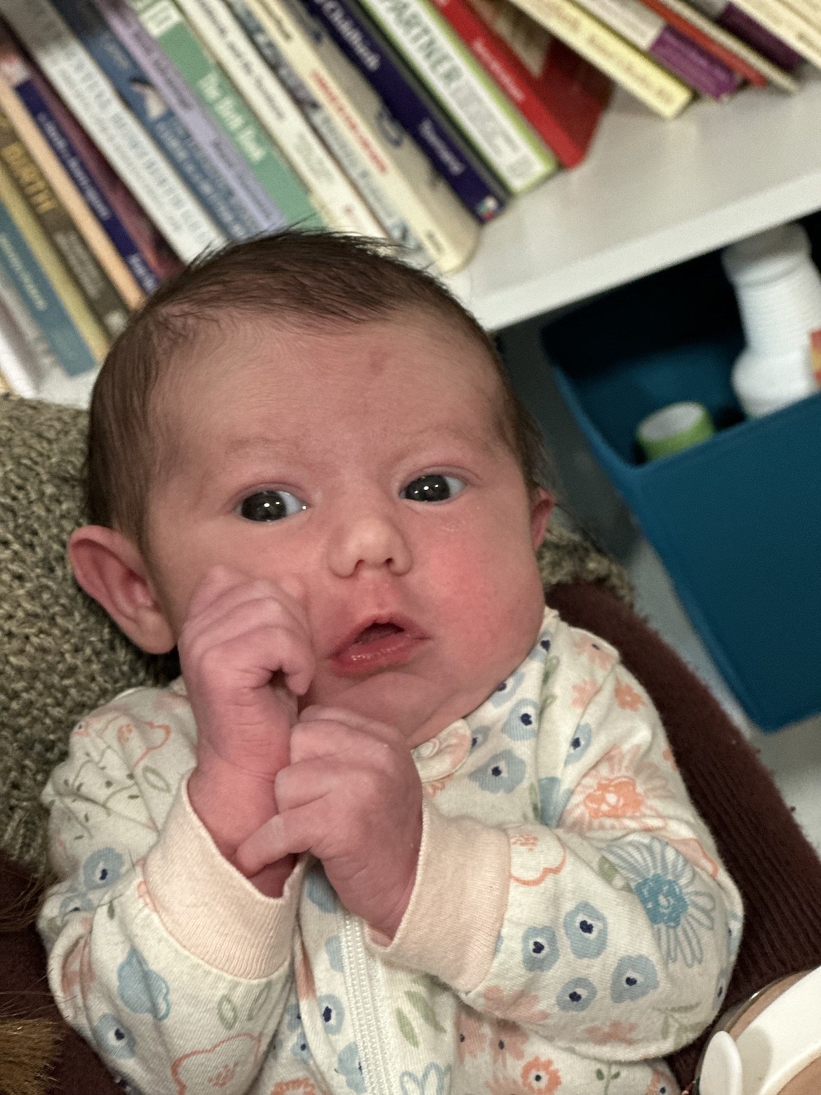 Family Birth Services is pleased to announce the birth of Audra Lilliana. She was born at the Birthing Center at 3:56 p.m. on March 26, 2024 to A’Laina Groom and Owen Fifield. She weighed 8 pounds, 2 ounces, and was 21 1/2 inches in length. Her grandparents are Frank Fifield of Troy, Corrine Lemer Canavan of Rexford and Danielle Lundvall of Libby. She was delivered by Joyce Vogel, Certified Licensed Midwife and Rebekah Sweet Licensed Apprentice.