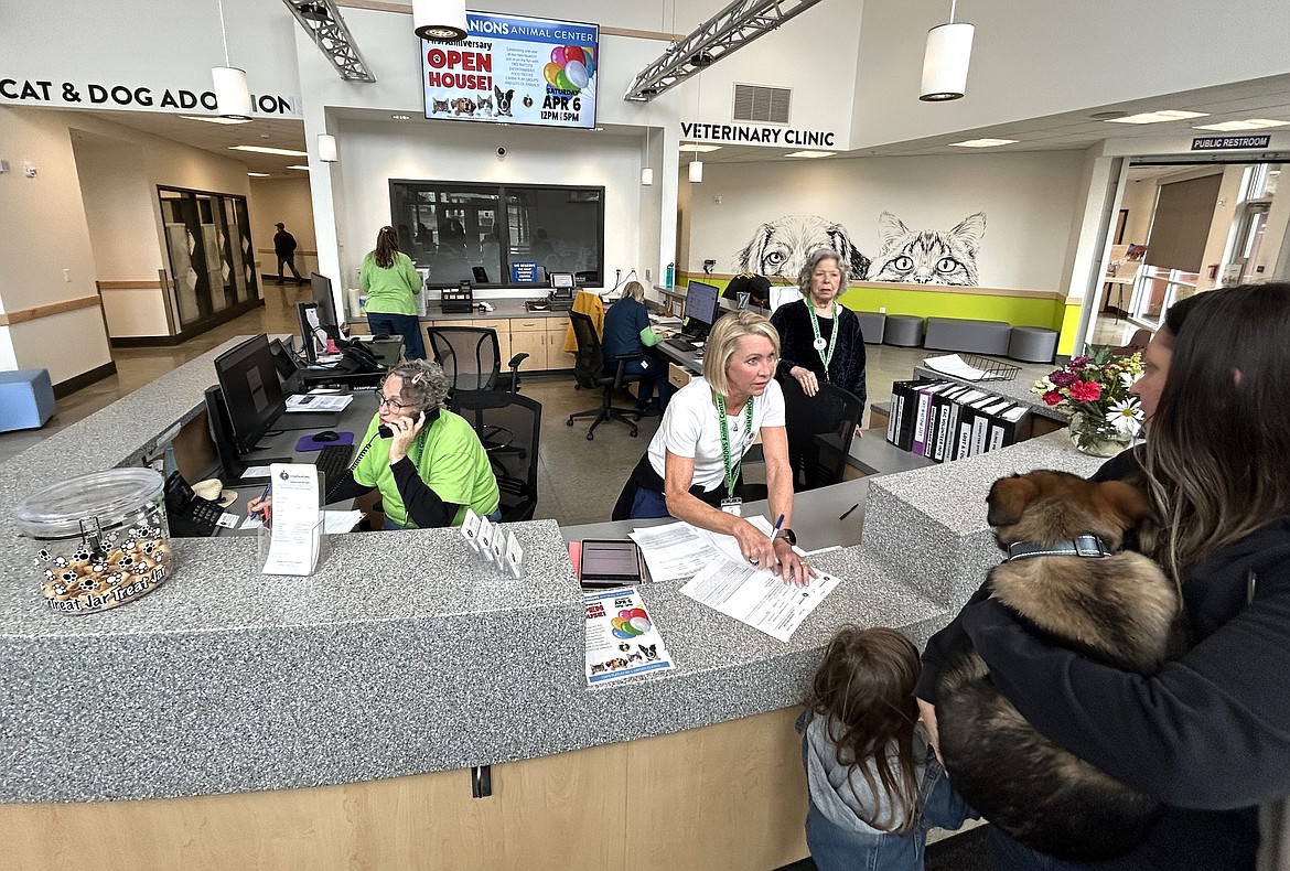 Companions Animal Center volunteer Sally Ellingsen helps visitors while other volunteers and staff members carry out other duties Wednesday.