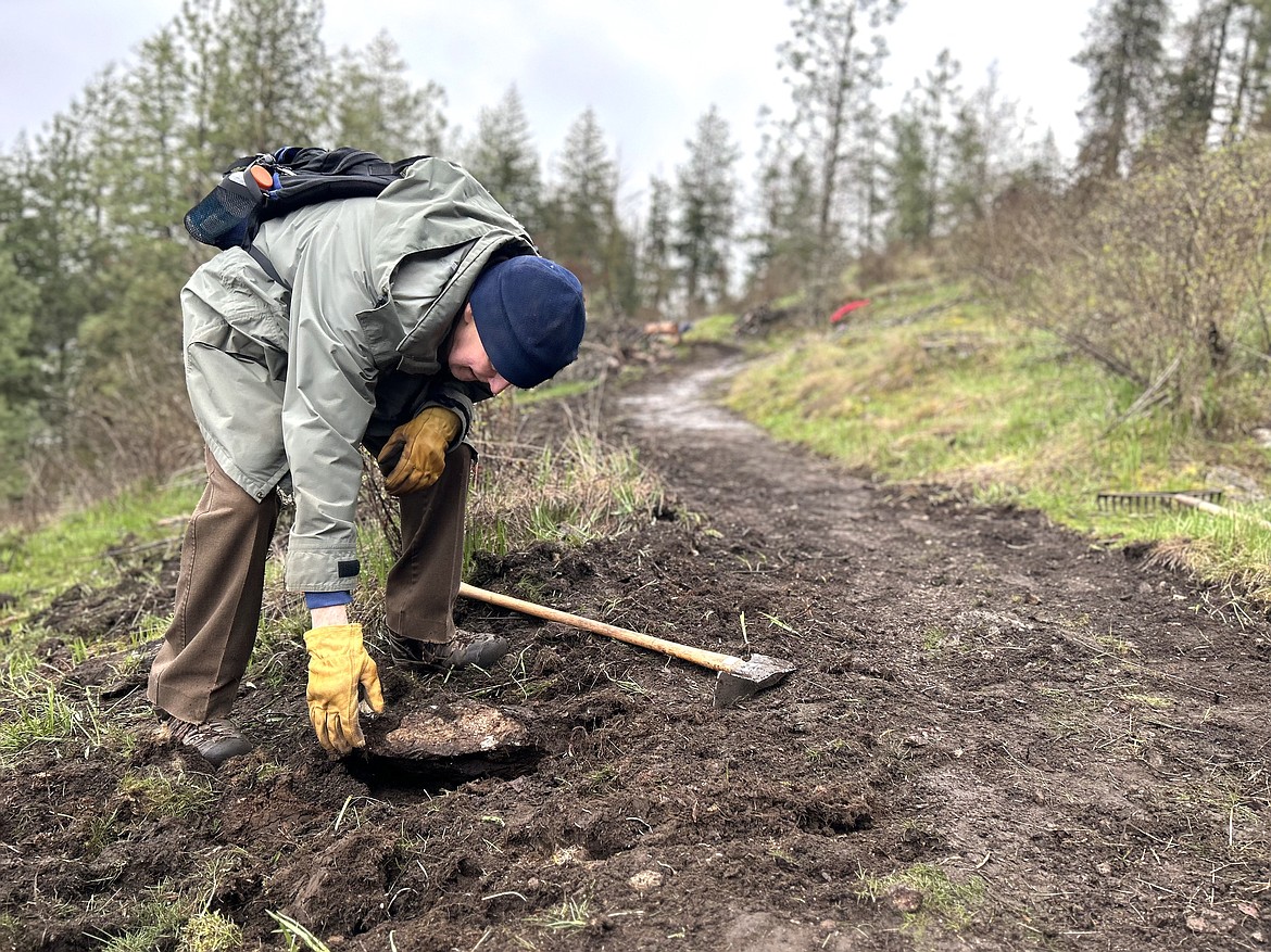 Jack O'Brien reaches to remove a rock during trail work on Tubbs Hill on Friday morning.