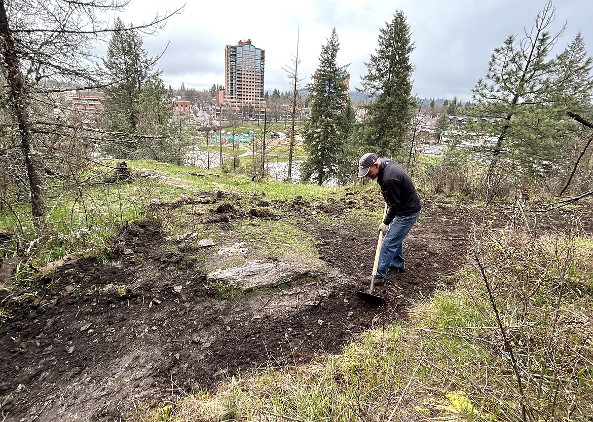 Jon Ingalls clears the way for a new trail on Tubbs Hill on Friday.