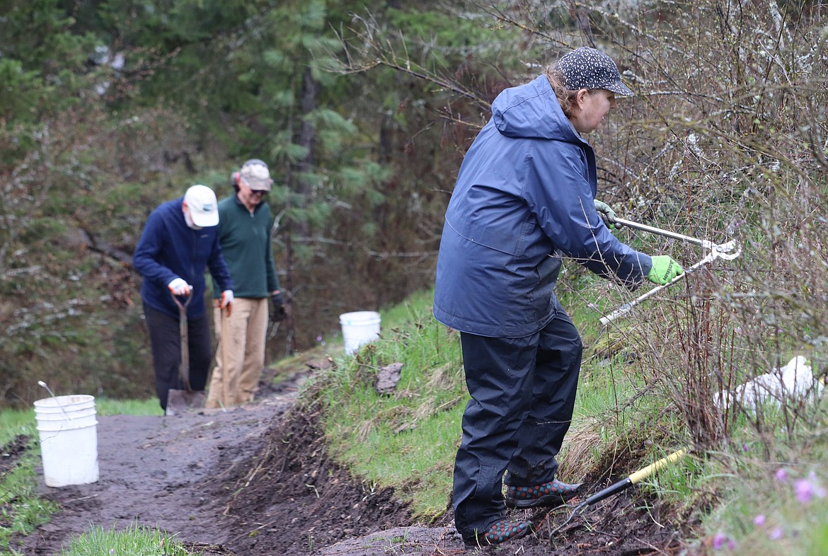 Annette Brandvold cuts back brush on a section of an improved trail on Tubbs Hill on Friday.