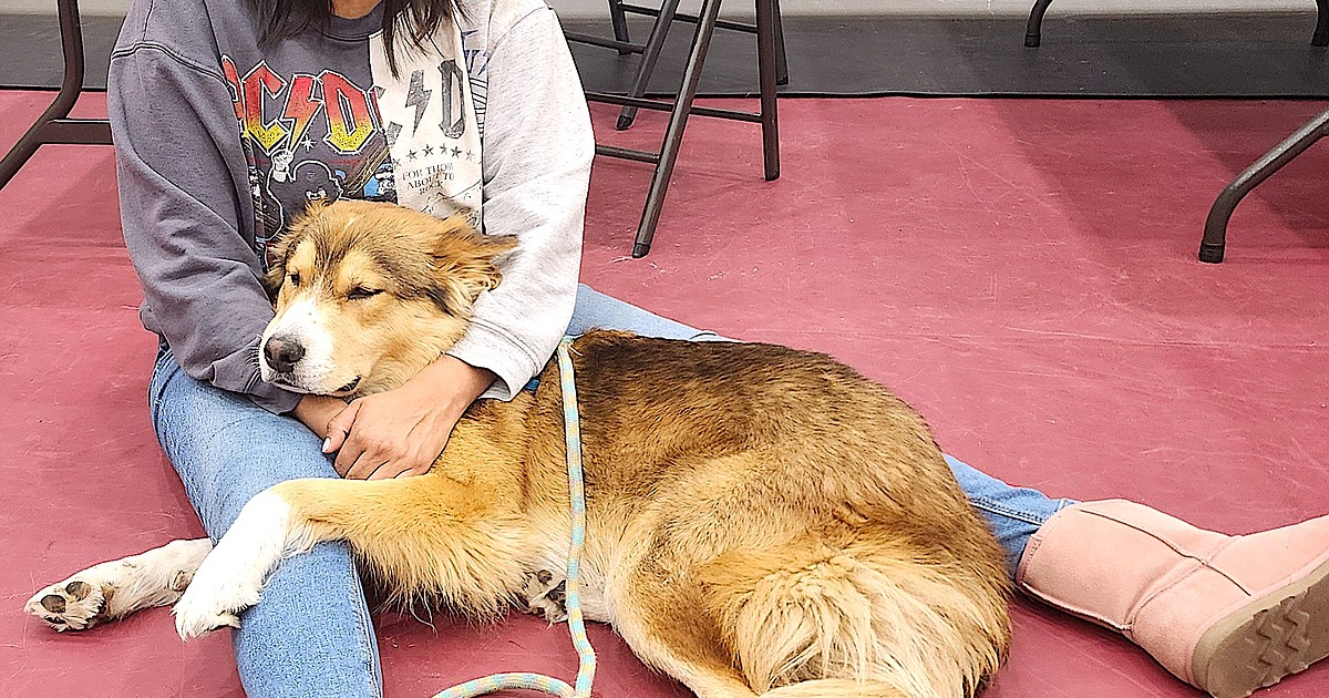 Spay and neuter clinic helps animals and their humans | Lake County Leader