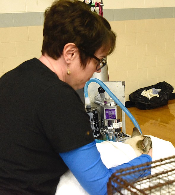 Spay and neuter clinic helps animals and their humans | Lake County Leader