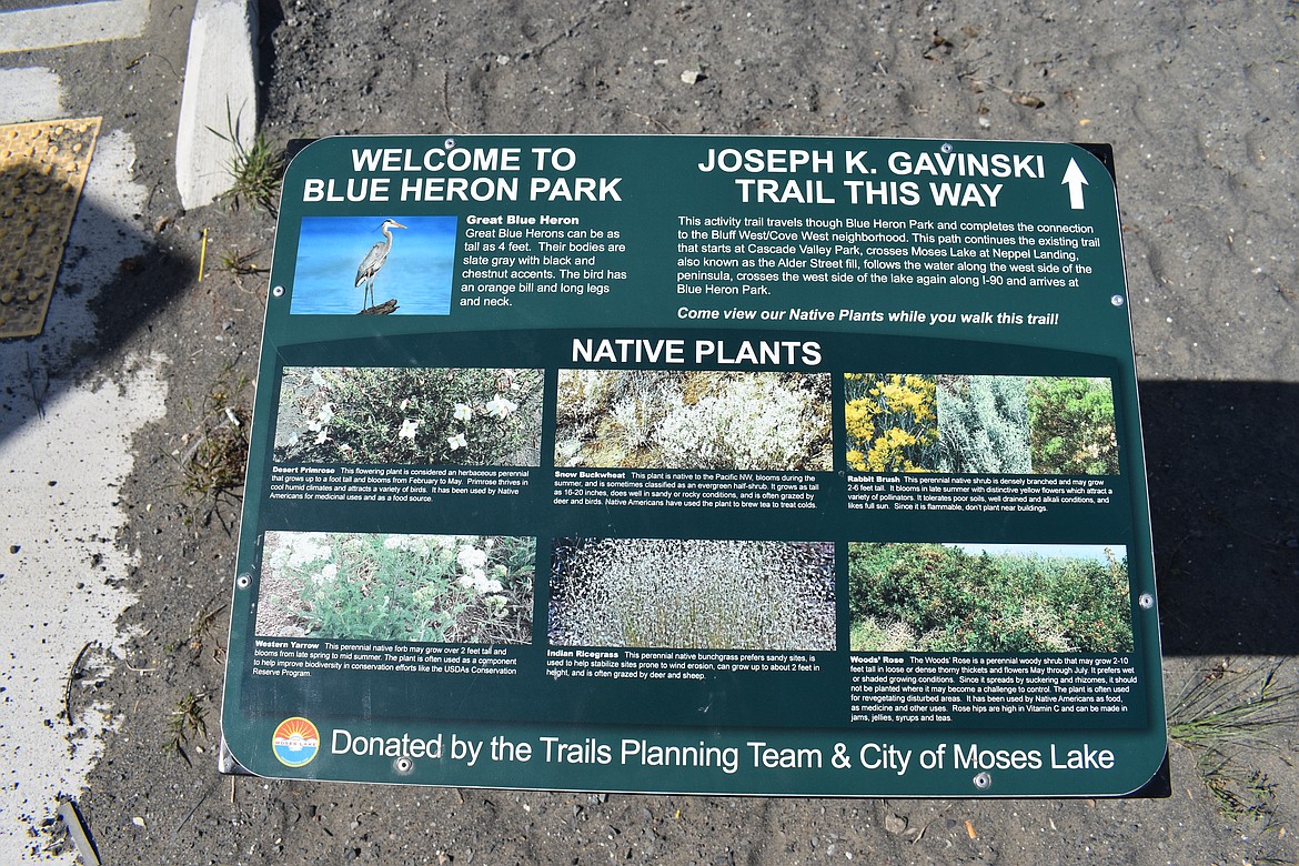 The sign shows the different native plants to be seen on the stretch of the Joseph K. Gavinski Trail through Blue Heron Park in Moses Lake, and, of course, the eponymous great blue heron.