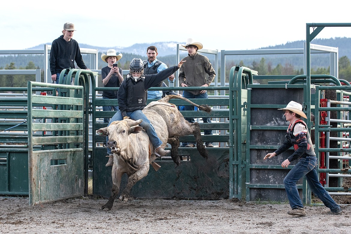 Tumbleweed breaks from the chute at Baldwin Bucking Bulls Friday, April 12 with Korbin Baldwin (right) as bullfighter. (Avery Howe photo)