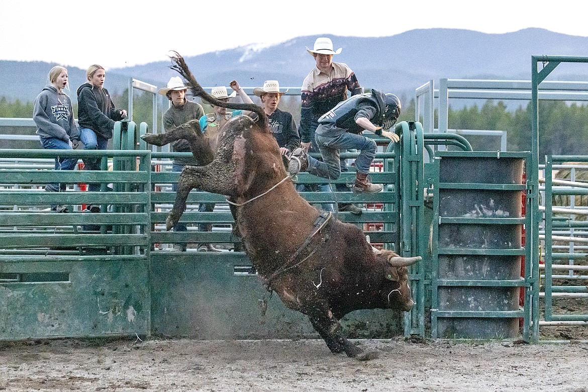 One of the Baldwin bucking bulls, Gone In 6 Seconds, throws its rider right out of the chute with Korbin Baldwin overseeing at right back. (Avery Howe photo)