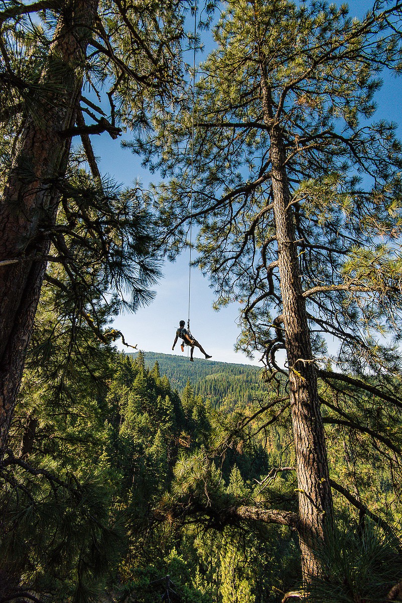 A customer dangles from their safety harness at Timberline Adventures.