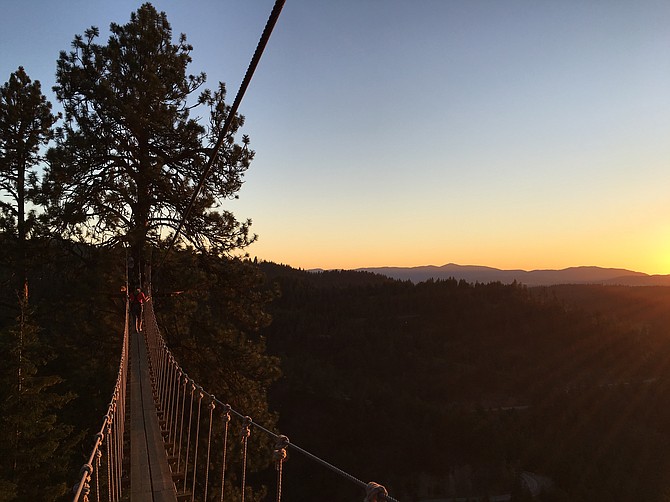 Sunlight fills the tree line along one of the sky bridges at Timberline Adventures.