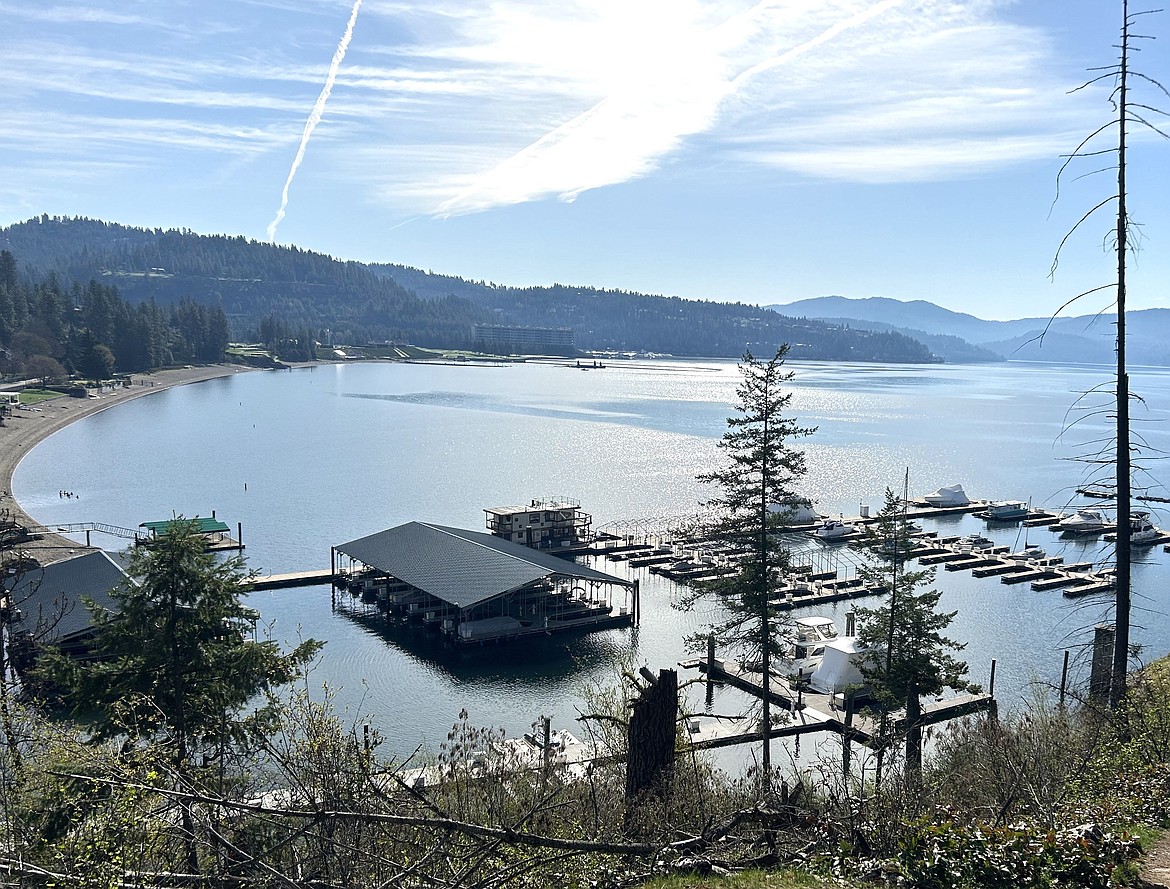 A group of people gather in Lake Coeur d'Alene just off the shores of Sanders Beach on a sunny Sunday morning. The lake is reportedly at 43 degrees.