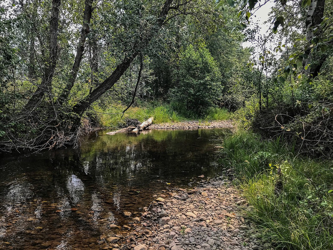 Tranquil stretch of Mission Creek is part of the new Weaver II conservation easement, which preserves 122 acres of forests, wetlands and agricultural fields from development. (Flathead Land Trust photo)