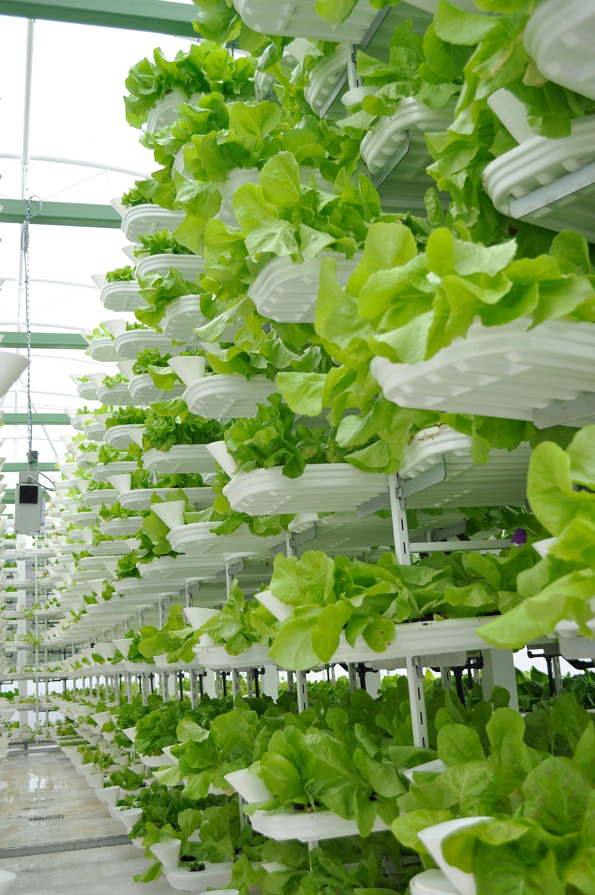 A vertical farm such as the one pictured is another form of indoor farming that benefits from year-round growing in a temperature-controlled environment.