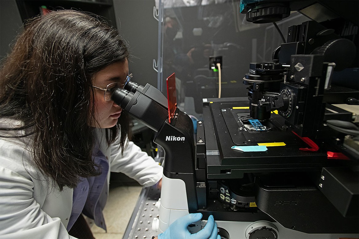 Siena Glenn, a Washington State University Ph.D. student uses a high-powered microscope. Glenn, working with Assistant Professor Arden Baylink and colleagues, has published research showing that some of the world's deadliest bacteria seek out and eat serum, the liquid part of human blood.
