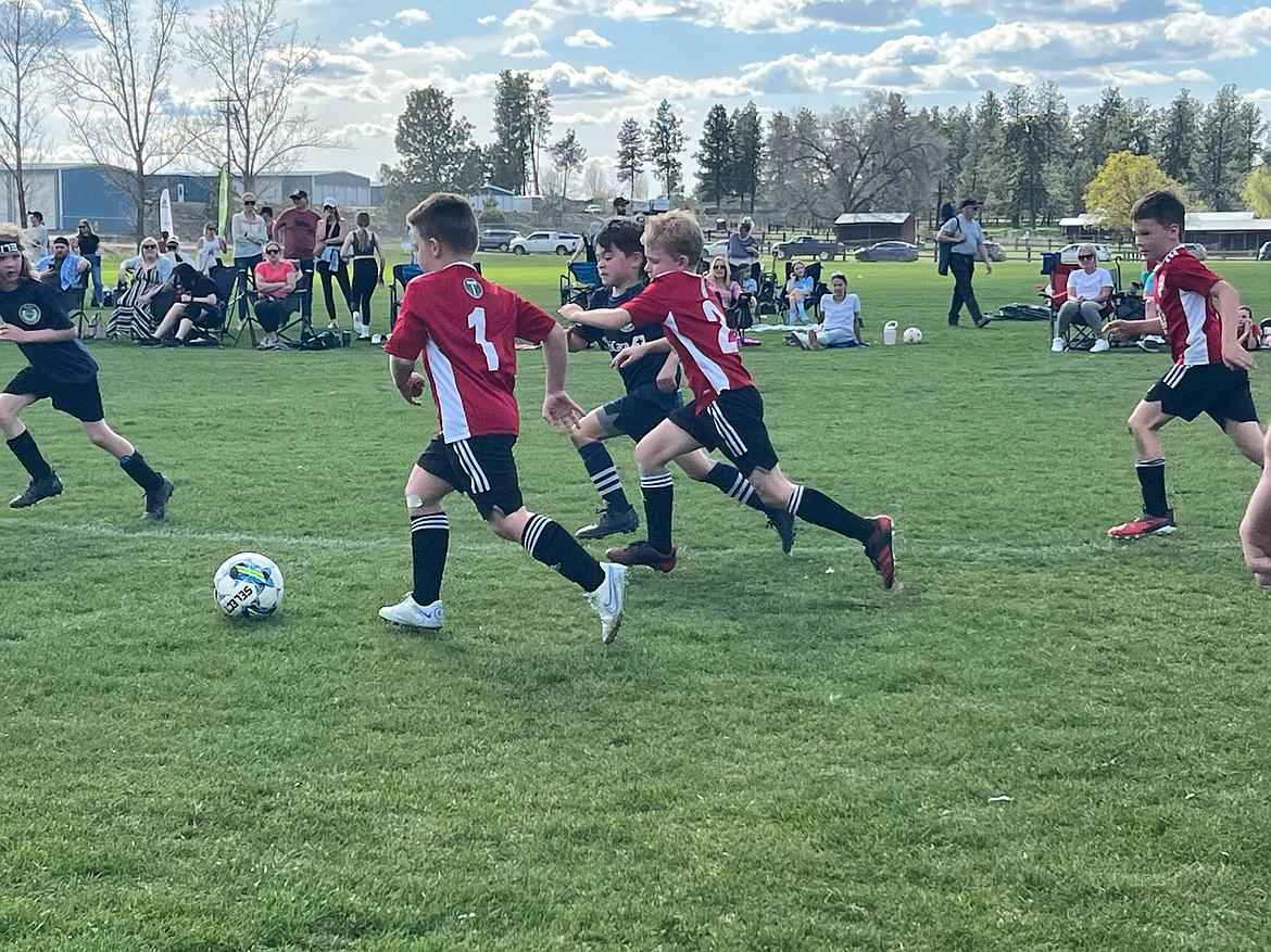 Photo by SONIA BERTEK
On Friday, April 12, the Timbers North FC 2016 Boys Red soccer team played an interclub match against the Timbers North FC 2016 Black team, the Red winning 11-9. Red goals were scored by Mitchell Volland (3), Elijah Cline (3), Leo Leferink (2), Greyson Guy (2) and Isaak Sterling (1). Black goals were scored by Jackson Martin (6) and Emmett Cowan (3). On Saturday morning, the Timbers North FC 2016 Boys Red beat the WE Surf SC B17 Black team 17-3. Red goals were scored by Leo Leferink (3), Elijah Cline (4), Greyson Guy (4), Isaak Sterling (2) and Mitchell Volland (4). On Saturday afternoon, the Timbers North FC 2016 Boys Black team played against Spokane Sounders B2016 South Krestian. The Black won 7-6. Black goals were scored by Jackson Martin (4), Kevin Sahm (1) and Emmett Cowan (2). Also on Saturday afternoon, the Timbers North FC 2016 Boys White team beat the Spokane Sounders B2016 North Blue 8-5. White goals were scored by Peyton Schock (3) and Emmett Cowan (5). Also on Saturday afternoon, the Timbers North FC 2016 Boys White team beat the Spokane Sounders B2016 North Green 6-3. White goals were scored by Mitchell Volland (1), Peyton Schock (1), Greyson Guy (2), and Elijah Cline (2). Pictured in red jerseys are Peyton Schock (1), Ryker Bertek (2) and Jackson Martin.