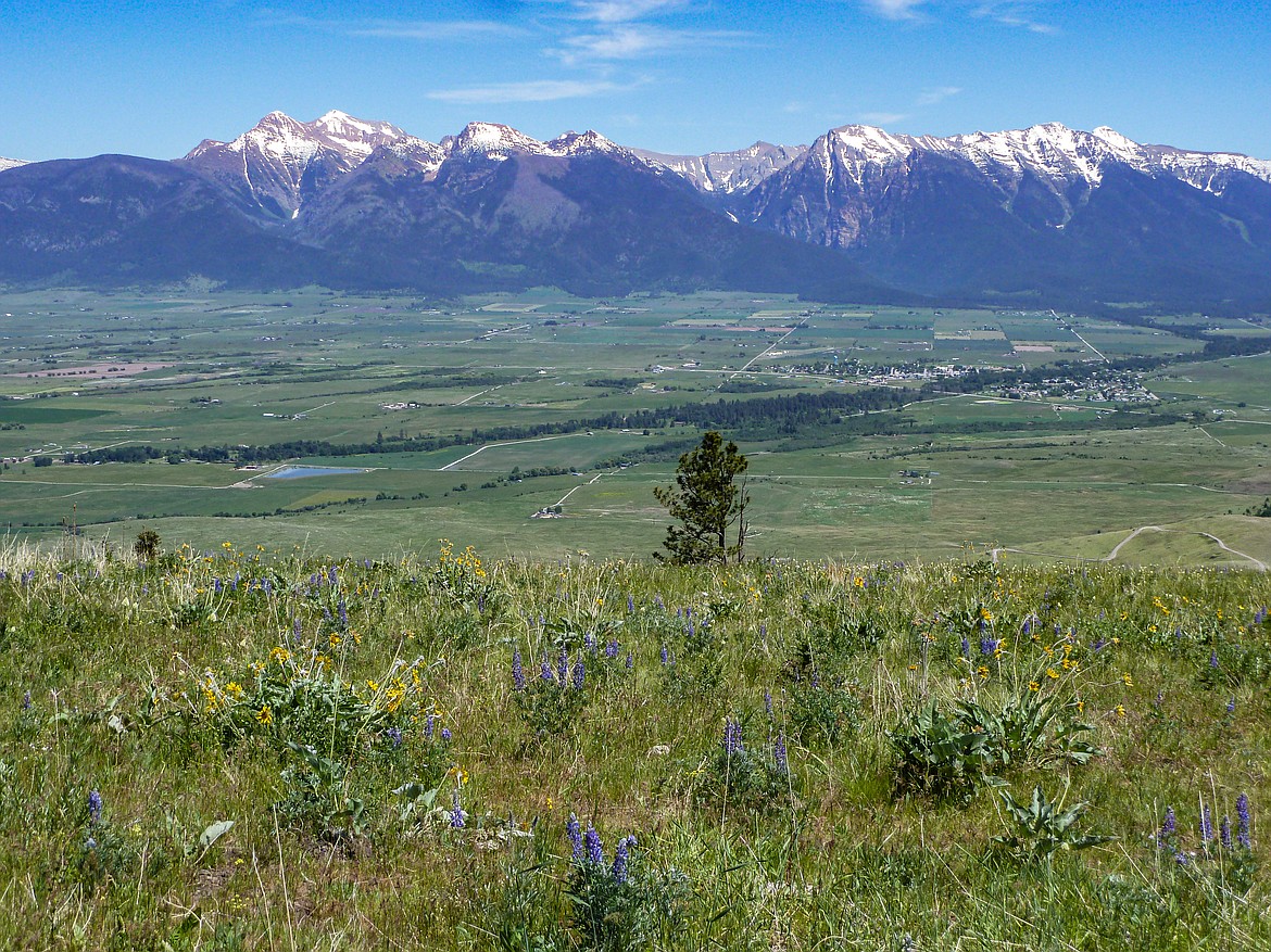 John Weaver's conserved property. (Photo courtesy of Flathead Land Trust)