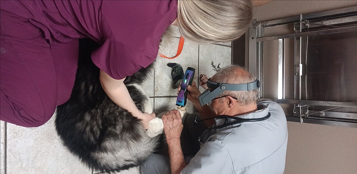 Pioneer Veterinary Clinic owner Dick Maier, right, and an assistant work to help a dog named Moses with an infected paw. The clinic works regularly with Rock Bottom Rocker Pet Pantry to help stray animals the rescue has picked up.