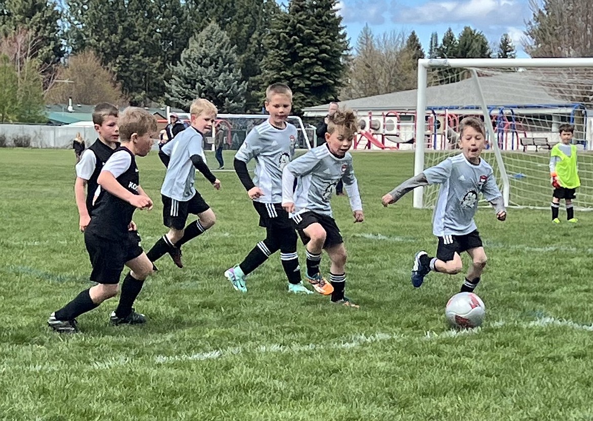 Photo by KATHY STERLING
On Sunday, the Timbers North FC 2016 Boys Black team beat the Sandpoint FC U8B Black team 6-5. Black team goals were scored by Jackson Martin (2), Mitchell Volland (3) and Elijah Cline (1). Pictured from left in the gray jerseys are Ryker Bertek, Isaak Sterling, Elijah Cline and Grayson Martino.