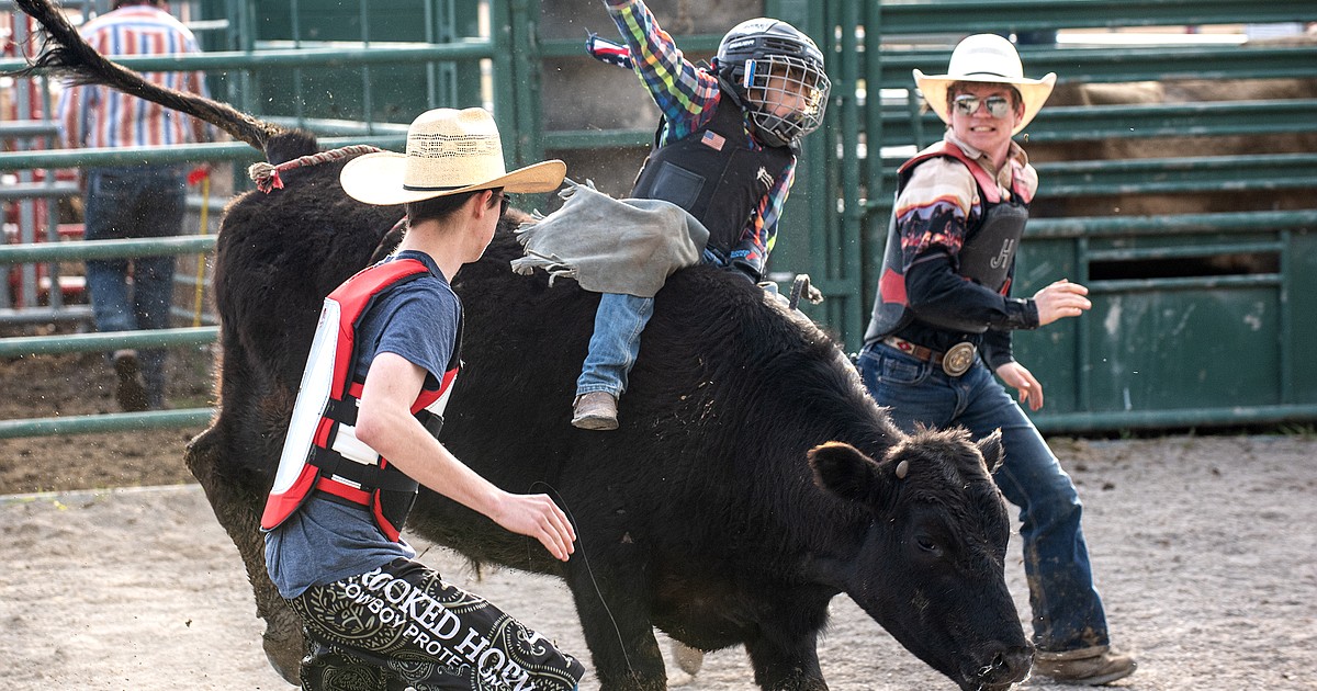 Young entrepreneur offers Flathead Valley the bull riding experience ...