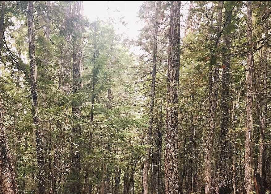 Panhandle Bike Ranch CUP approved | Bonner County Daily Bee