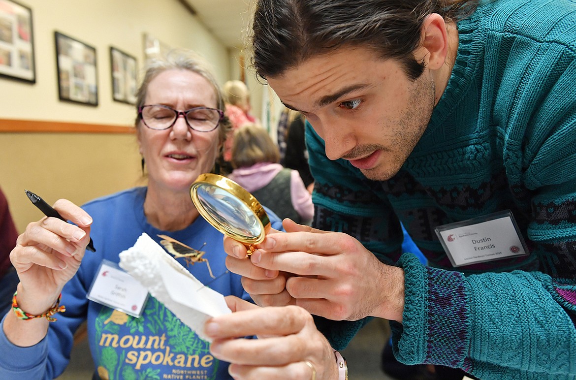 Dustin Francis, right, examines a grasshopper held by Sarah Griffith during a WSU Extension Master Gardener Entomology Lab training class Thursday, March 7, at the WSU Spokane County Extension Center.