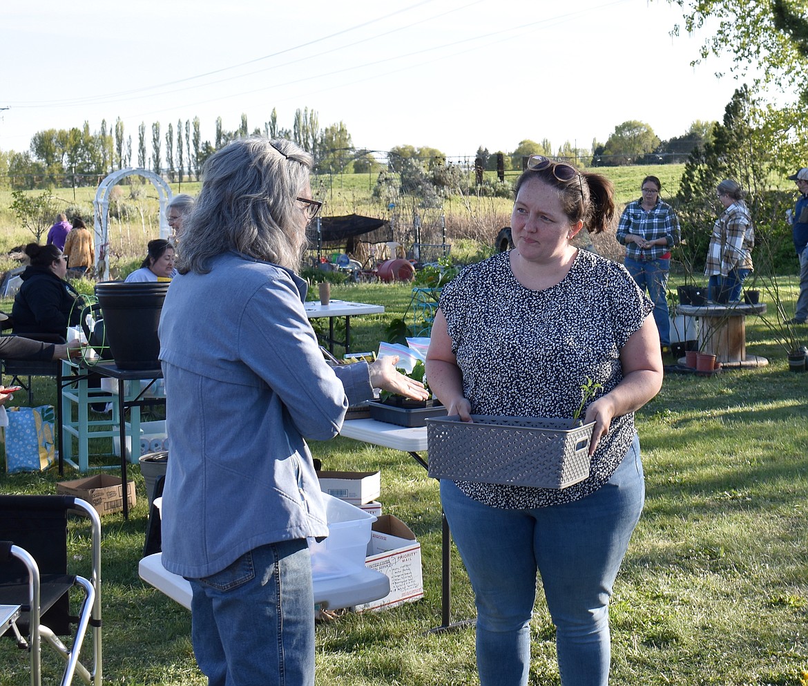 Attendees compare notes – and plants – at the Moses Lake Garden Club Plant Swap Monday. About 100 people turned out to share plants and gardening tips.