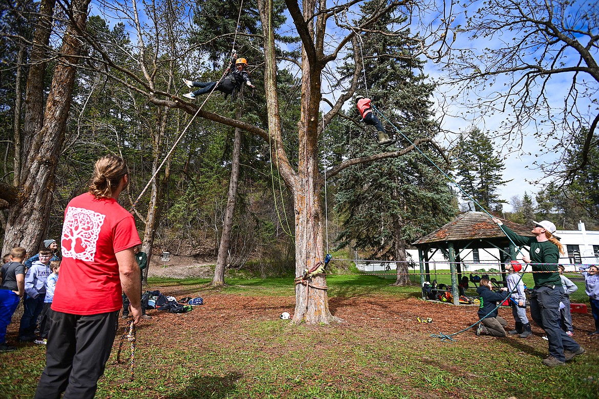 Rankin Elementary third-graders are hoisted into the canopy of a horse chestnut tree at the Trees For Life station at the Arbor Day celebration at Lawrence Park on Friday, April 26. (Casey Kreider/Daily Inter Lake)