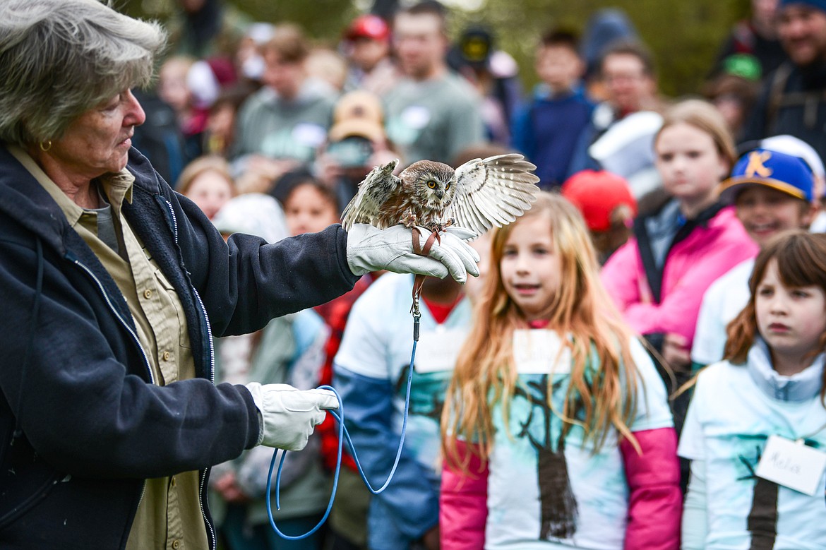 Doe Carroll with Montana Wild Wings Recovery Center holds a northern saw whet owl  during a demonstration at the Arbor Day celebration at Lawrence Park on Friday, April 26. (Casey Kreider/Daily Inter Lake)