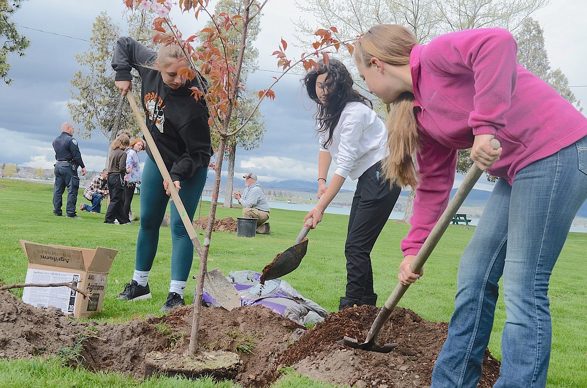 Students Plant Cherry Trees In Honor Of Arbor Day 