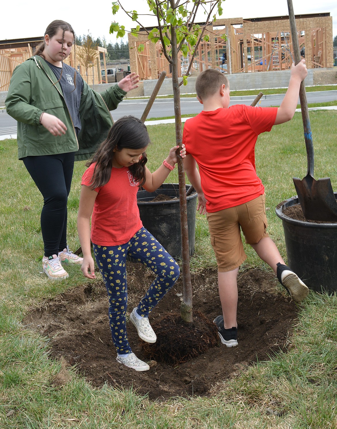 Emmy Woods, Ruby Baker and Lane Churchill "dance down the dirt" around a newly planted tree at Atlas Waterfront Park.