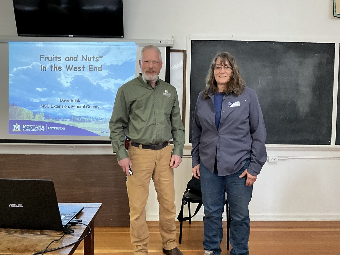 Dave Brink and Cindy Peterson held a class in the old DeBorgia School on creating defensible space around your home before the fire season begins. Included in the free class was information on trees (including fruit trees), shrubs and other perennials that thrive in the west end of Mineral County. Both Brink and Peterson are with the MSU Extension Office out of Montana State University with Peterson being a Forestry Specialist Associate. (Monte Turner/Mineral Independent)