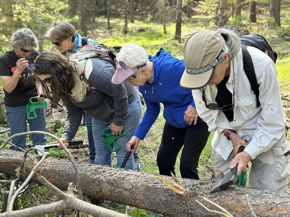 Women in the Woods participants learn about forest health at the 2023 event using the hatchets provided by Idaho Forest Group.