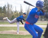 Cats wallop Bigfork, Browning
