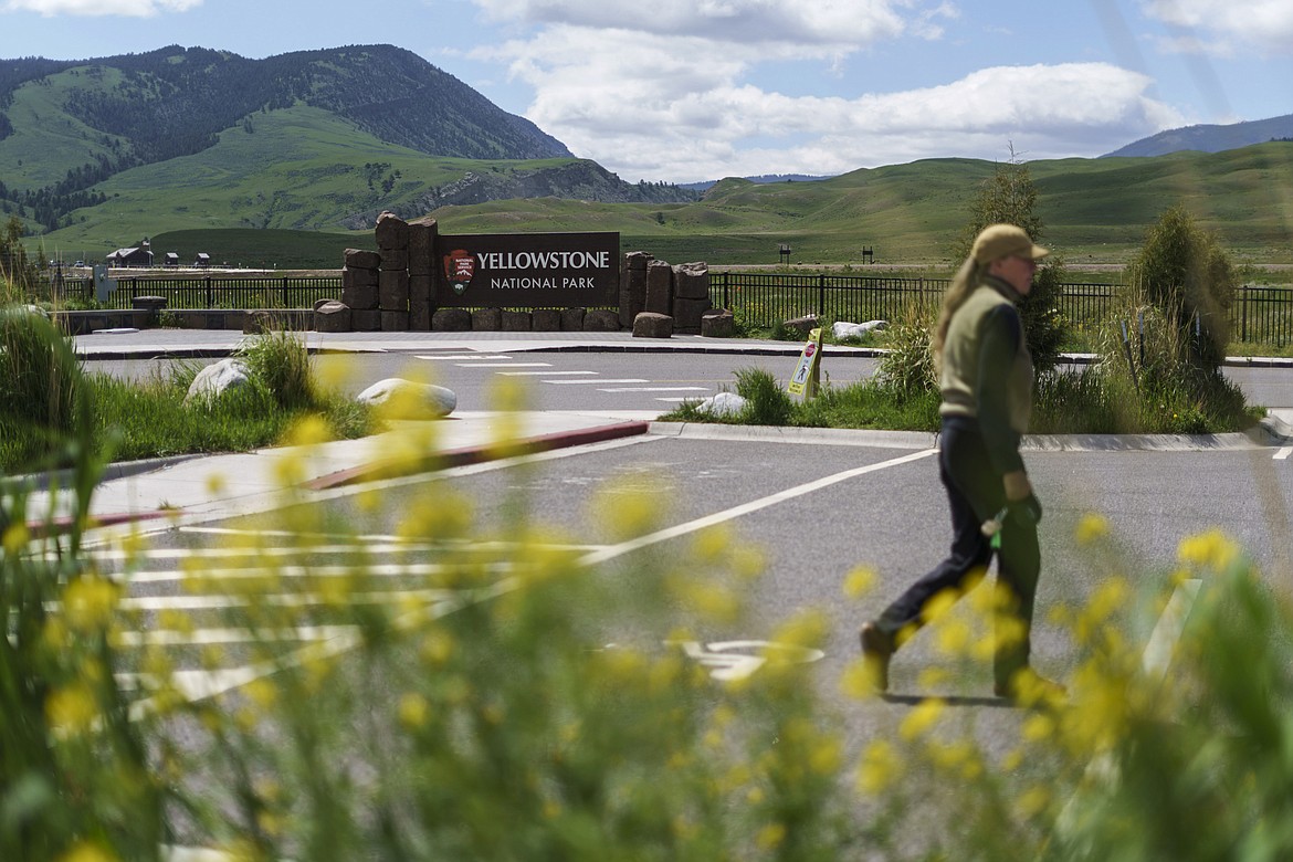 A pedestrian walks past the entrance to Yellowstone National Park, June 15, 2022, in Gardiner, Mont. A man who kicked a bison in the leg was then hurt by one of the animals on April 21, 2024, in Yellowstone National Park, according to park officials. Park rangers arrested and jailed him after he was treated for minor injuries. (AP Photo/David Goldman, File)