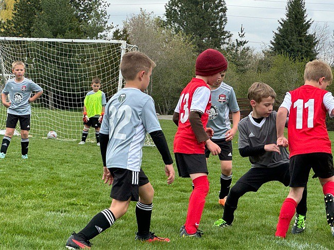 Photo by MANDY MATHENEY
On Saturday morning the Timbers North FC 2016 Boys White team beat the Sandpoint Strikers FC U08B Black team 4-2 at Hayden Meadows Elementary School. White team goals were scored by Mitchell Volland (3) and Jaxson Matheney (1). Pictured in grey jerseys from left are Isaak Sterling, Peyton Schock (goalie), Mitchell Volland, Jackson Martin and Greyson Guy.