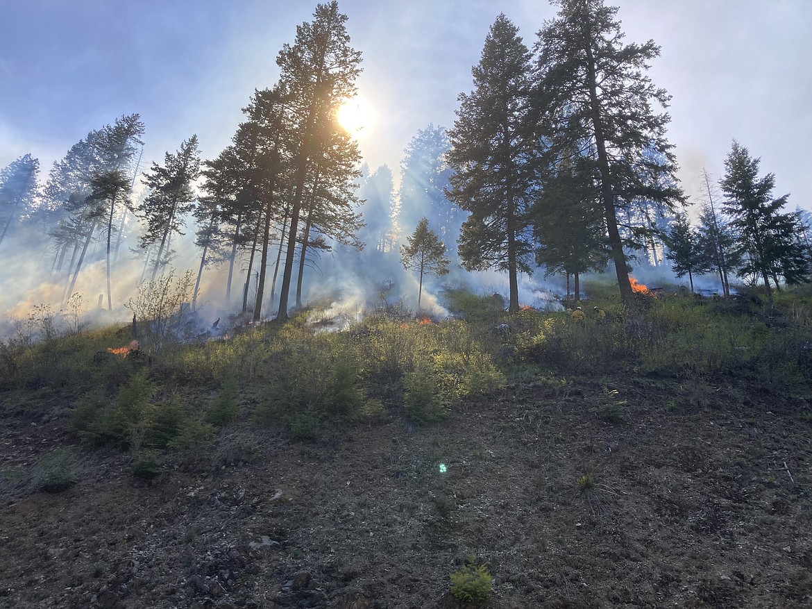 The Kootenai Fuels Reduction Project east of Hayden Lake and south of Hayden Creek has led to the temporary closure of the Hayden Creek shooting pit.