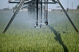 The Cost of farming: Irrigation expenses follow a unique set of rules