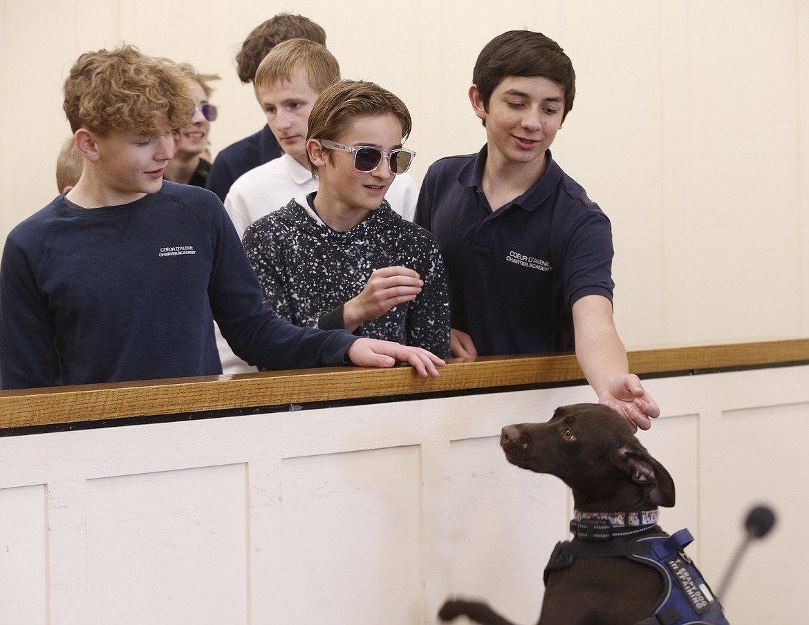 Students met Huckleberry, a support dog who helps probationers involved in mental health court.