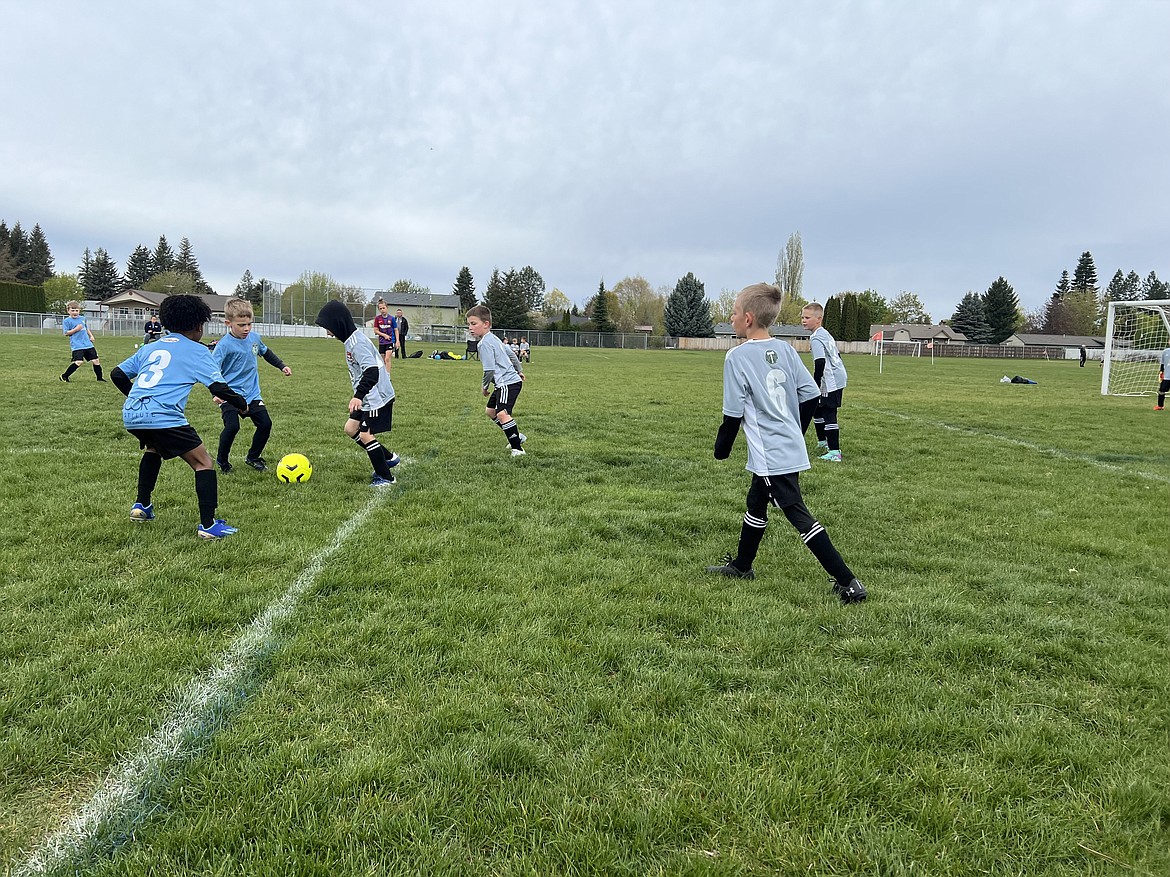 Photo by KATHY STERLING
The Timbers North FC 2016 Boys Red soccer team beat the Spokane Sounders B2016 North Green team 8-4 on Saturday at Hayden Meadows Elementary. Red team goals were scored by Mitchell Volland (4), Greyson Guy (3) and Peyton Schock (1). From left in the gray jerseys are Grayson Martino, Peyton Schock, Jacson Matheney and Isaak Sterling.