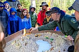 Learn the ways of the woods at Family Forestry Expo