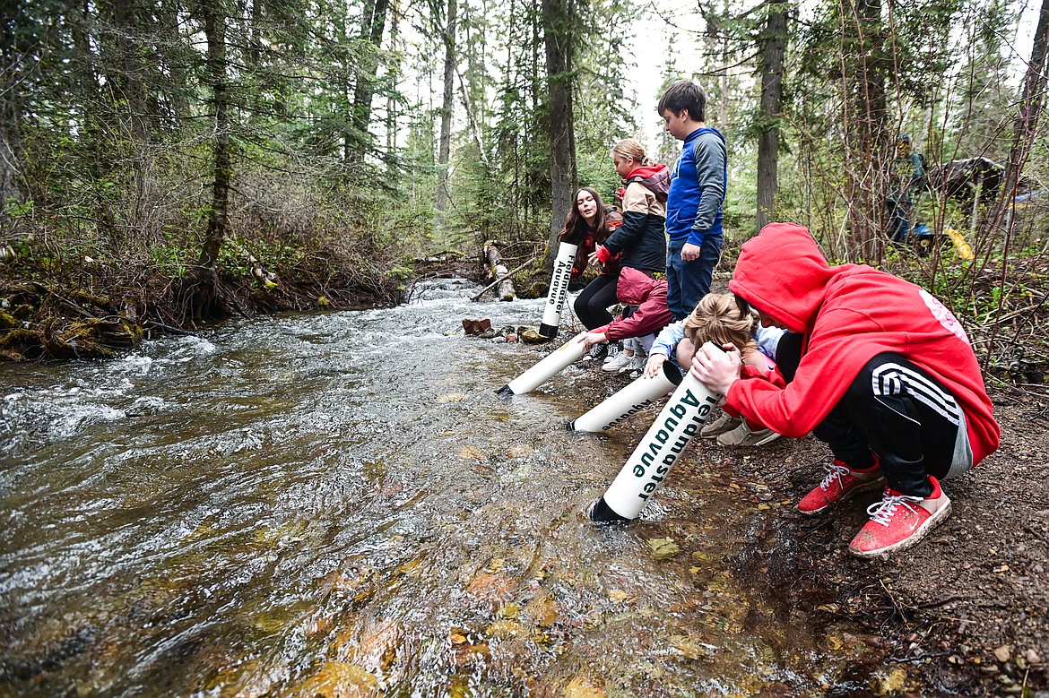 Fifth-graders in teacher Kirsten Pevey's class at Rankin Elementary School inspect the bed of Trumbull Creek with a viewing tube at the fisheries station at the Family Forestry Expo on Tuesday, May 7. (Casey Kreider/Daily Inter Lake)