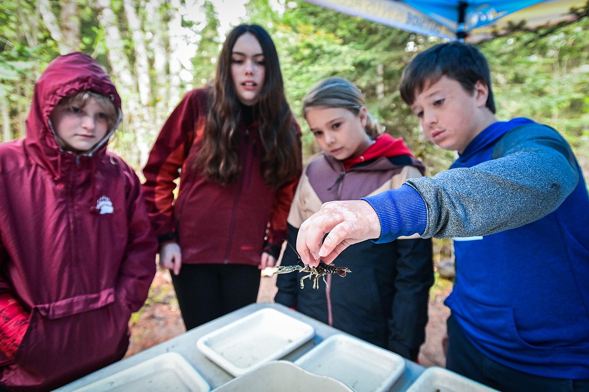Fifth-grade students in teacher Kirsten Pevey's class at Rankin Elementary School get an opportunity to hold a crayfish at the fisheries station at the Family Forestry Expo on Tuesday, May 7. (Casey Kreider/Daily Inter Lake)