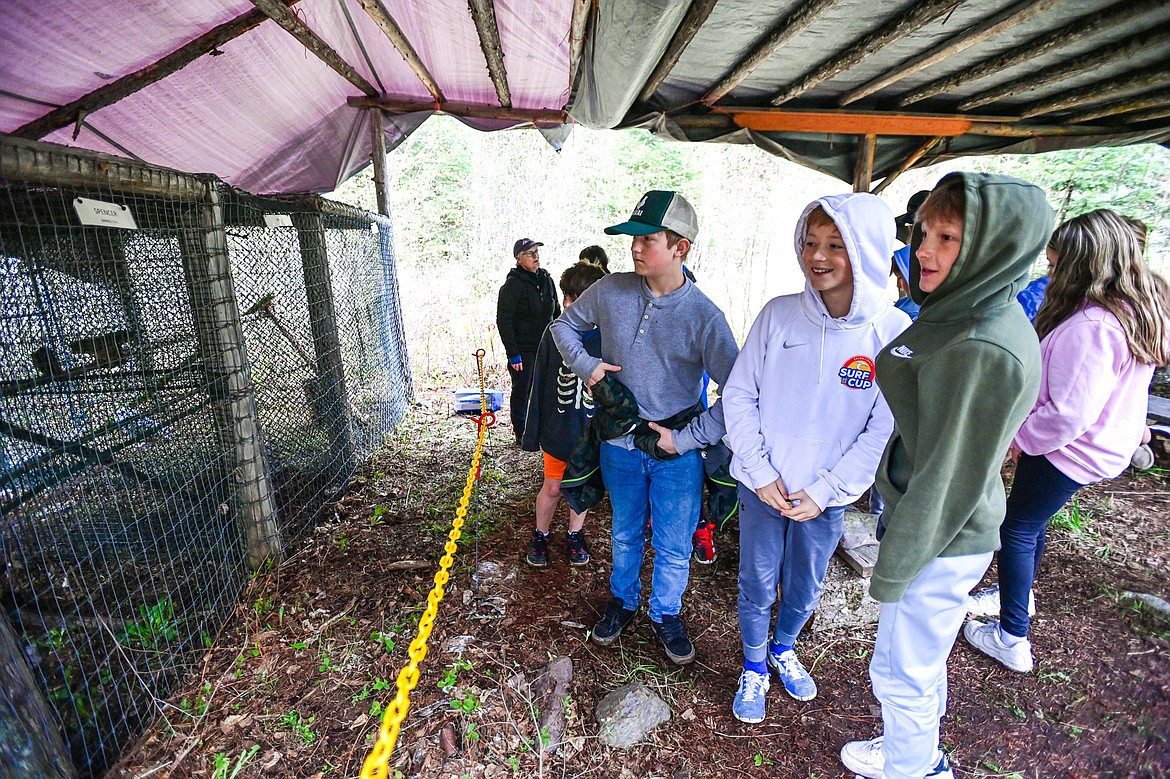 Fifth-grade students in teacher Kirsten Pevey's class at Rankin Elementary School get an opportunity to view different species of owls from Montana Wild Wings Recovery Center at a wildlife station at the Family Forestry Expo on Tuesday, May 7. (Casey Kreider/Daily Inter Lake)