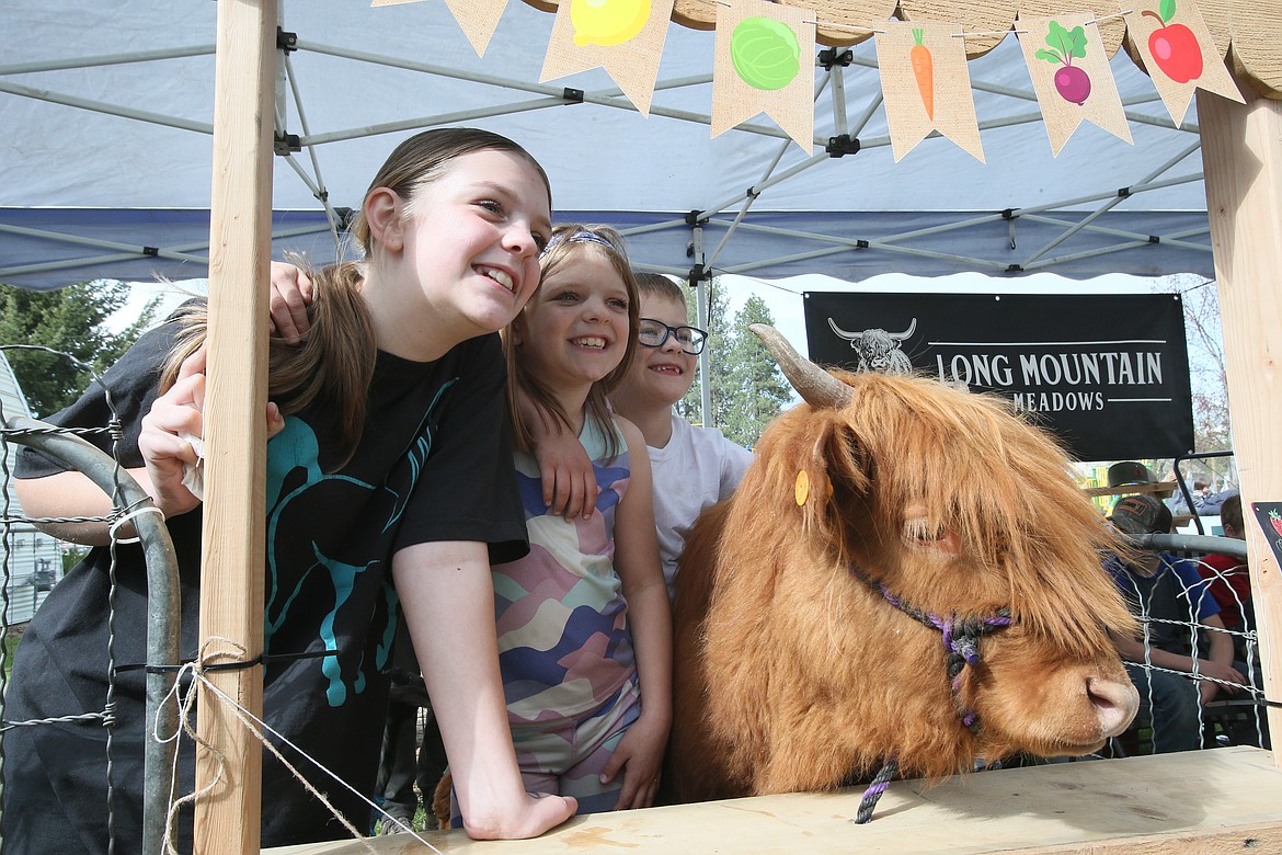 From left, Madilyn Bentley, 11, sister Aubrey Bentley, 8, and cousin Westin Bentley, 8, enjoy a visit with Monday the Scottish Highland heifer at the Long Mountain Meadows booth Friday during opening day of the Athol Farmers Market.
